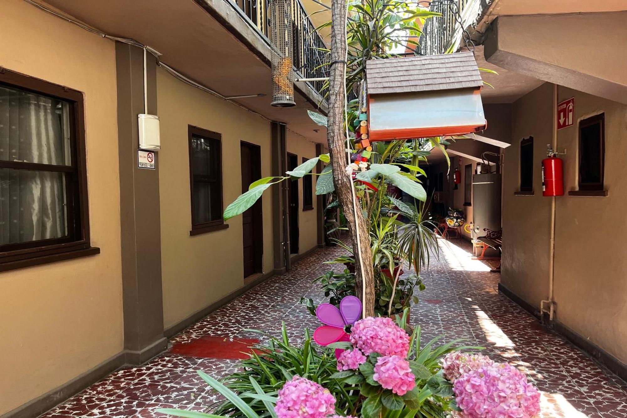 Oyo Hotel Linda Tijuana Exterior foto